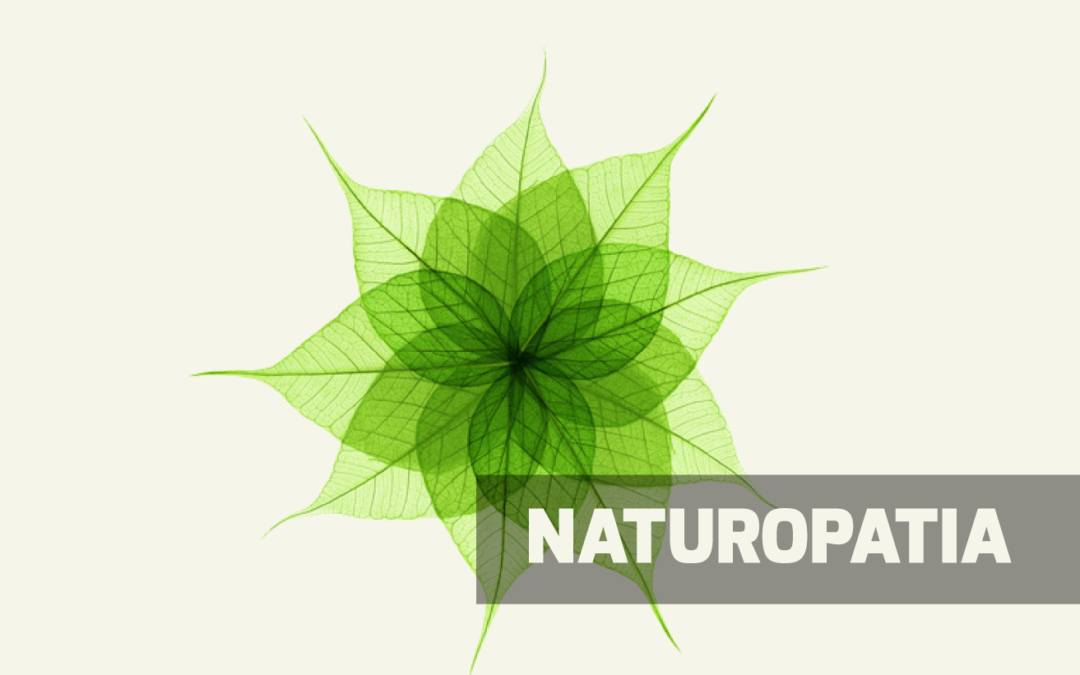 Loredana Calzavara Naturopata massaggiatrice riflessologa · Foto 3