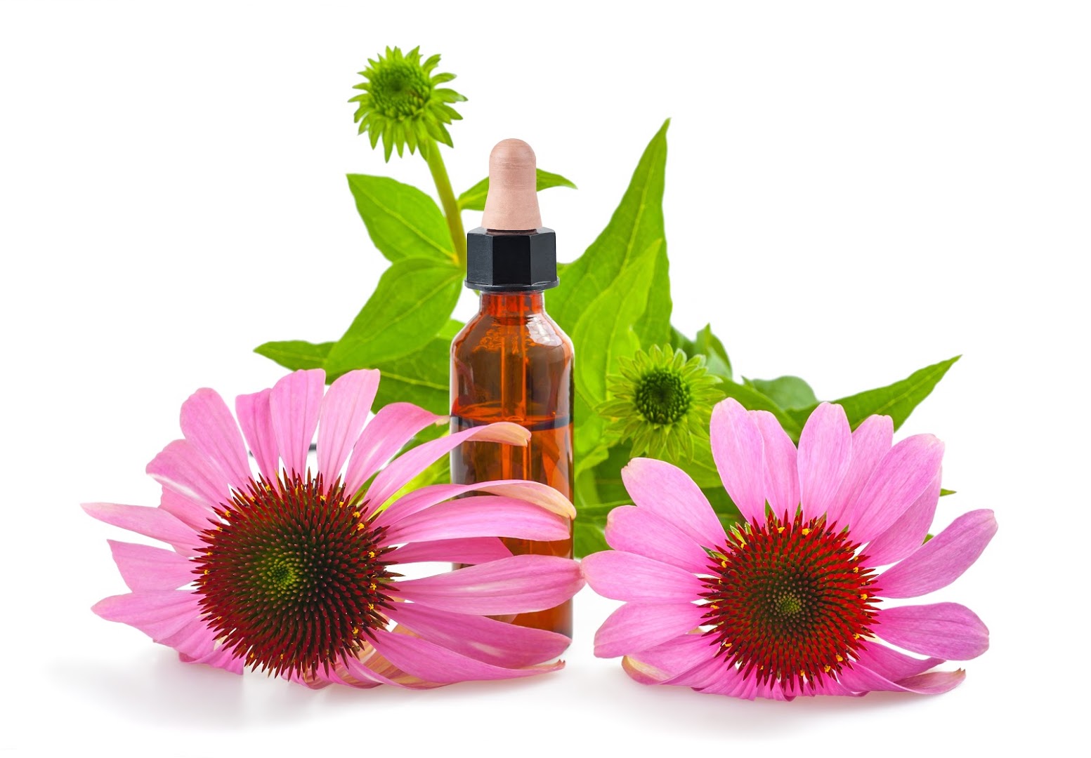 Loredana Calzavara Naturopata massaggiatrice riflessologa · Foto 1